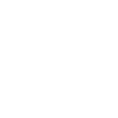 RenRe