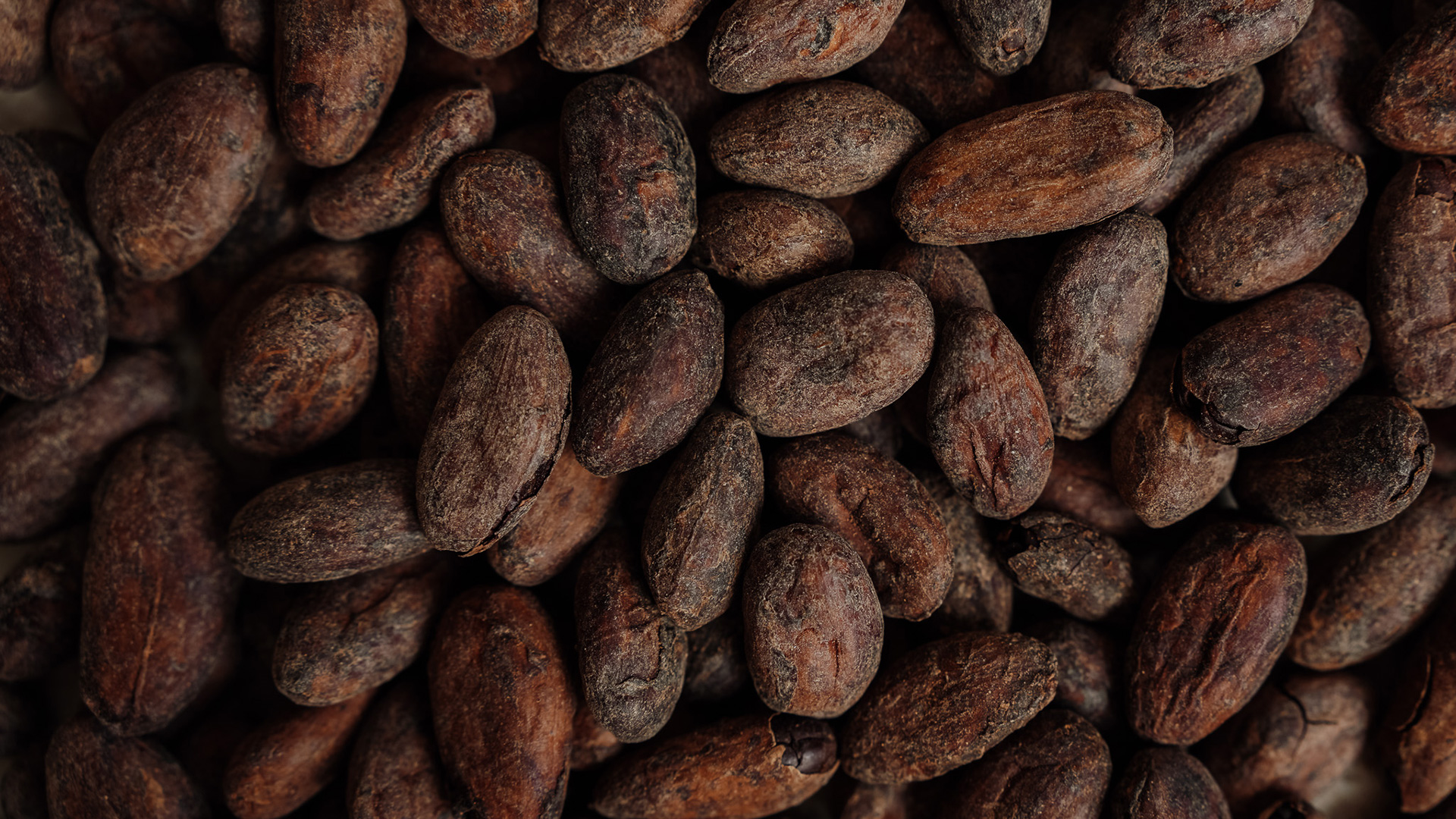 Ceremonial cacao beans