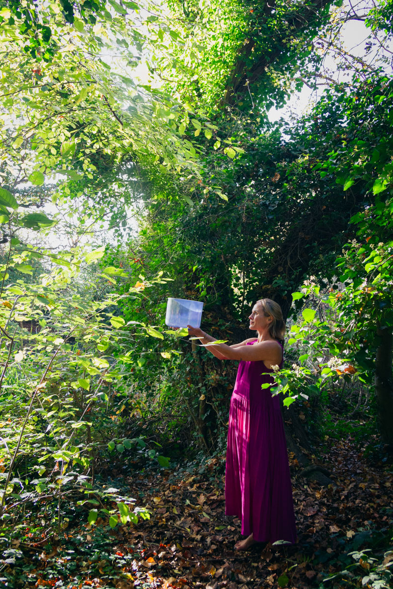Alchemy Sound Bowls: Nature, Vibration and Sound Baths in London with I AM BEING