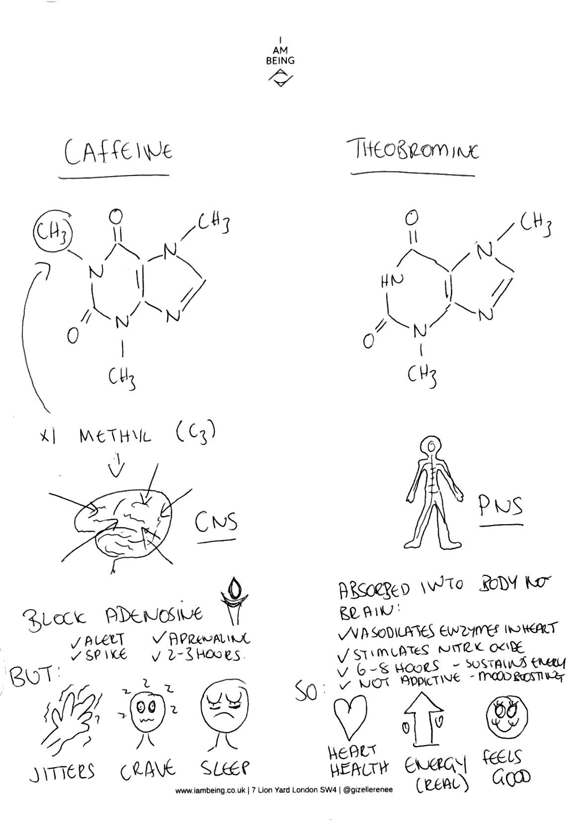 Coffee or Cacao?