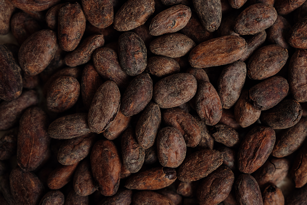 Coffee vs Cacao: Why I Reach for One More Than the Other