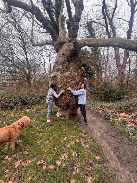 cacao-trees-heritage-hidden-life-i-am-being-london